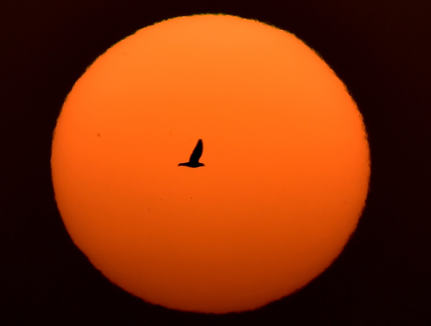 PTI10_23_2016_000188B
