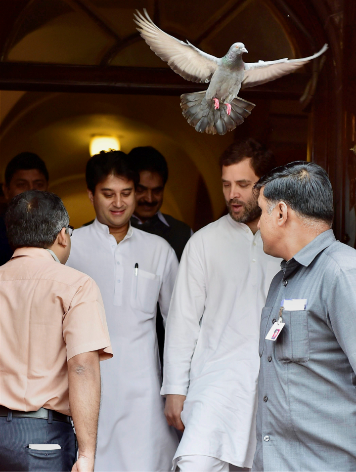 PTI3_14_2016_000071B
