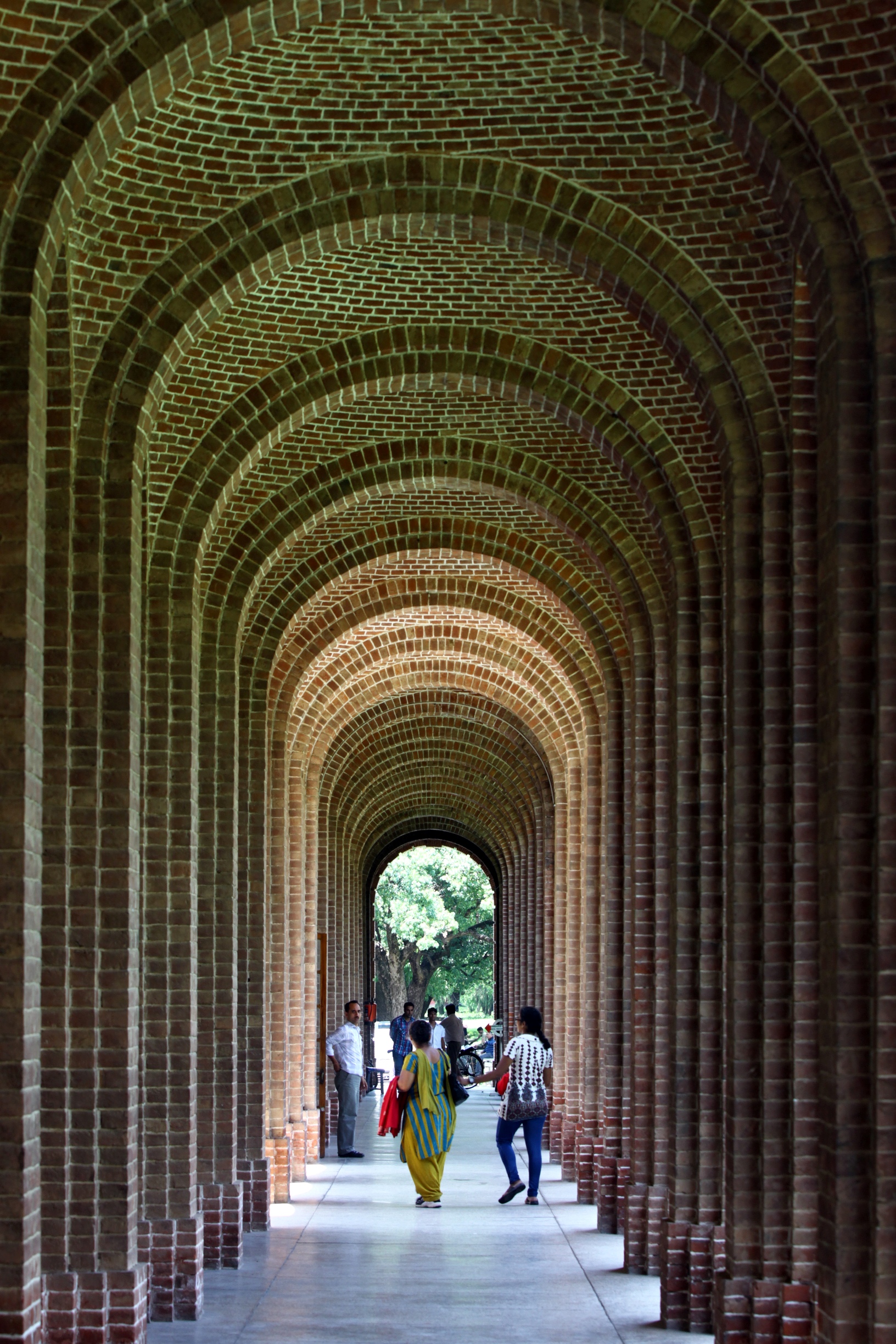 V0006487