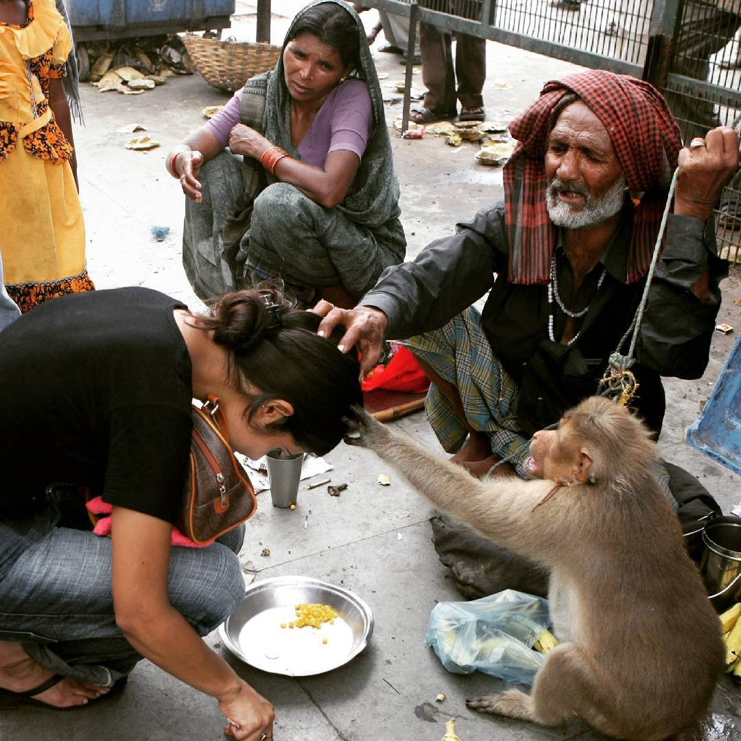 monkey n people
